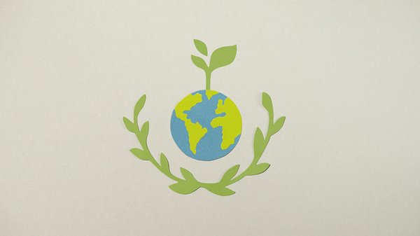 Votre guide ultime pour choisir une boutique chanvre