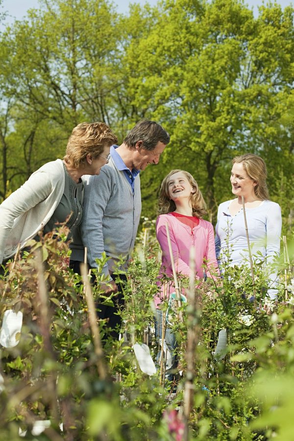 Les centres aérés écoresponsables à Meyrin : des vacances éducatives pour vos enfants